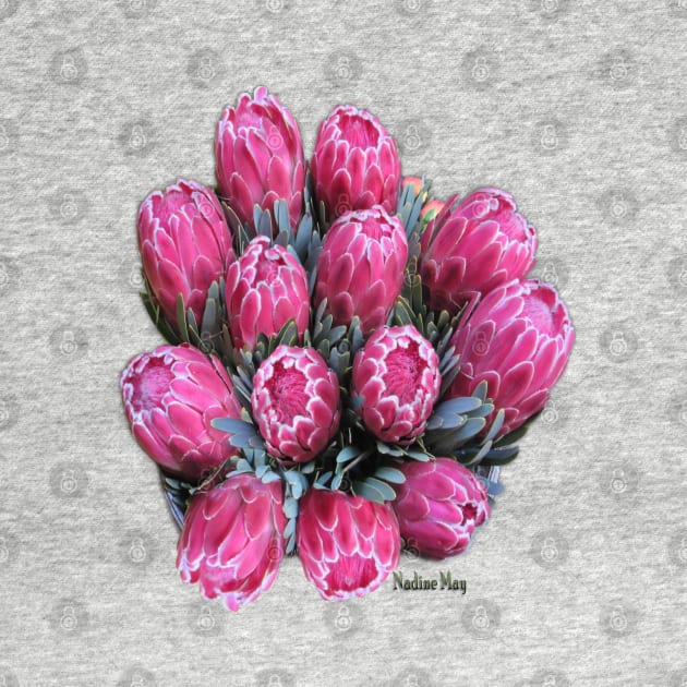 Pink Ice protea by Just Kidding by Nadine May